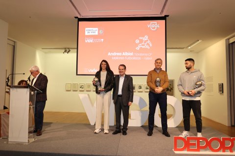 Premios Vide 25